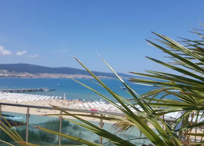 Deluxe Gallery 2 アパート サニービーチ